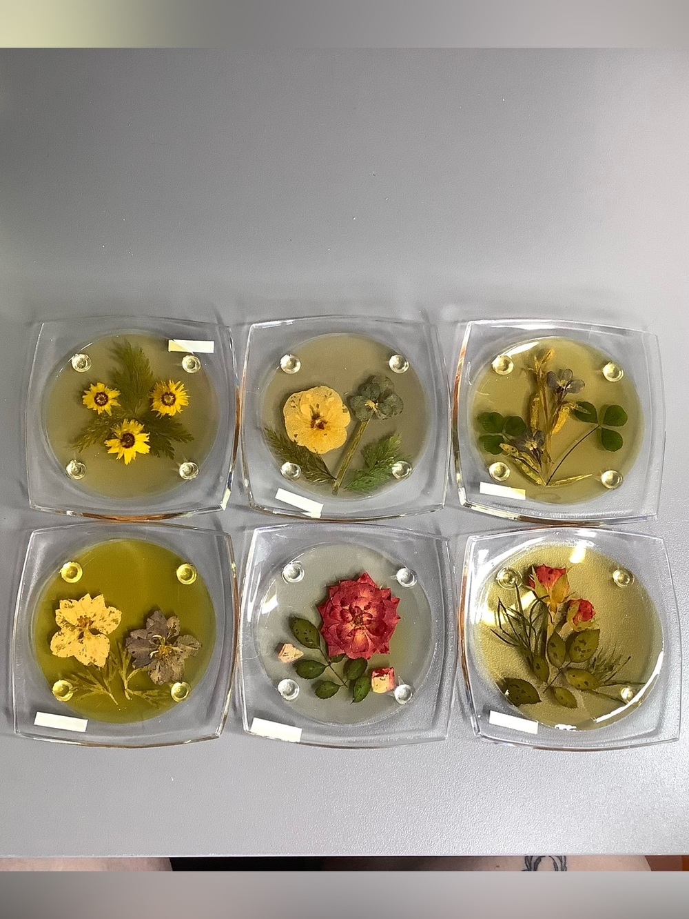 < NEW Vintage Set Of 6 Pressed Flower Coasters 70’s 80’s 90’s >